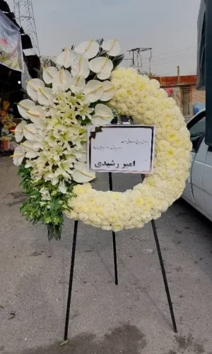 تصویر تاج گل گرد اروپایی به همراه لینک خرید و توضیحات کامل برای کاربرانی که کلمه [تاج گل] را موتور جستجوی گوگل جستجو میکنند.