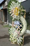 تاج گل اروپایی